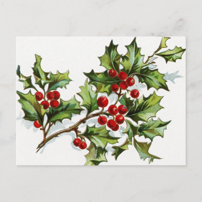 Postal Berries001 (Anverso)