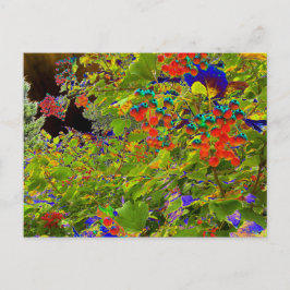 Postal Berries rojas solarizadas, Mark Edward Westerfield
