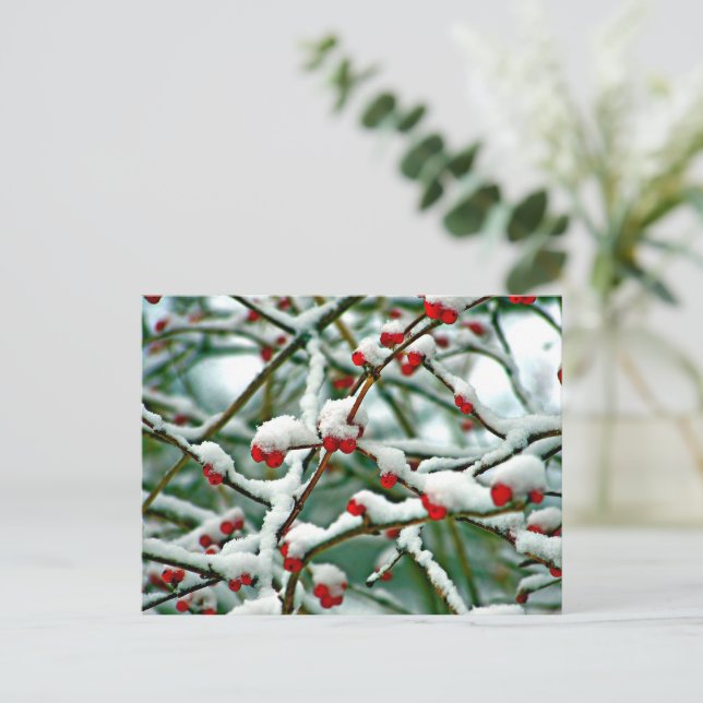 Postal Berries rojos en la nieve (2025) (Anverso de pie)