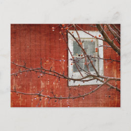 Postal Berries y Barn