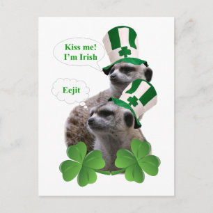 Postal Bésame. Soy un diseño irlandés de meerkat.