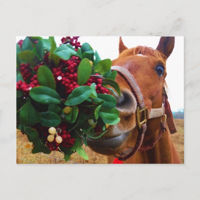 Postal Besando caballo bajo Mistletoe (Anverso)