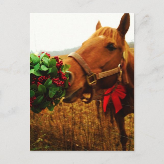 Postal Besando caballo bajo Mistletoe (Anverso)