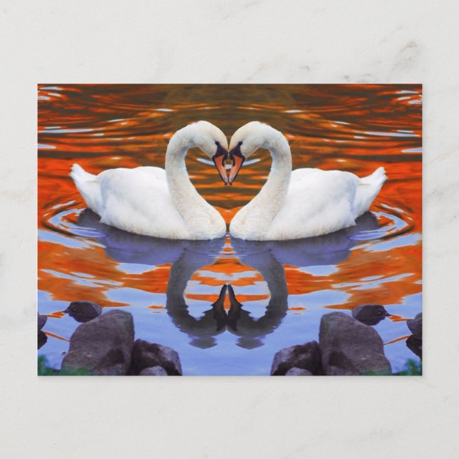 Postal Besando cisnes con amor, el corazón forma los cuel (Anverso)