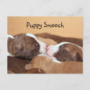 Postal Beso de cachorro