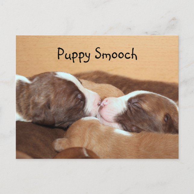 Postal Beso de cachorro (Anverso)