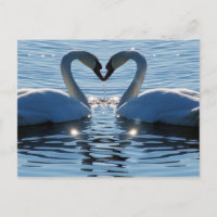 Beso de corazón de cisne, reflexiones de amor