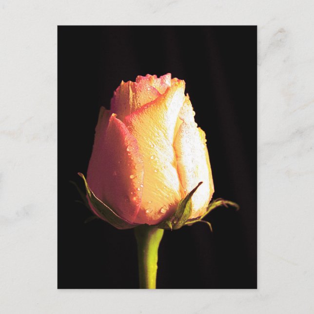 Postal Beso de lluvia (Anverso)