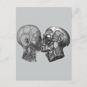 Postal Besos de cabeza anatómica vintage