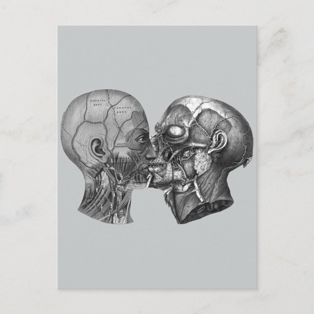 Postal Besos de cabeza anatómica vintage (Anverso)