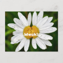 Postal Besos de margarita Cumpleaños San Valentín Saludo