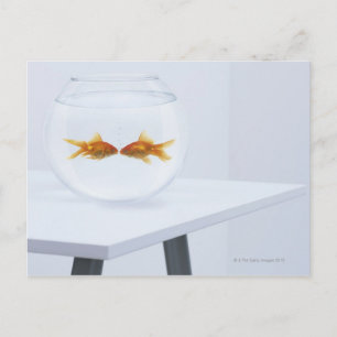 Postal Besos de pez dorado en pecera