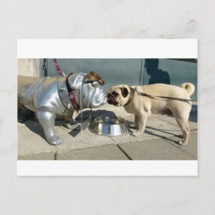 Postal Besos de Pug