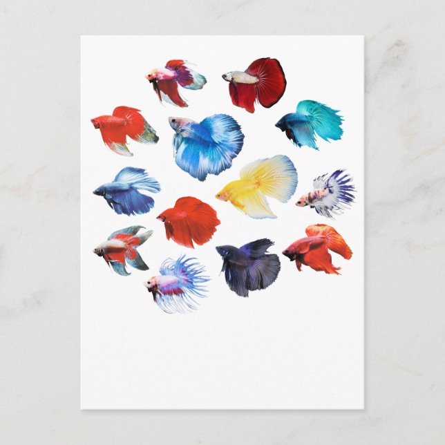 Postal Betta 2 (Anverso)