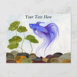 Postal Betta Fish