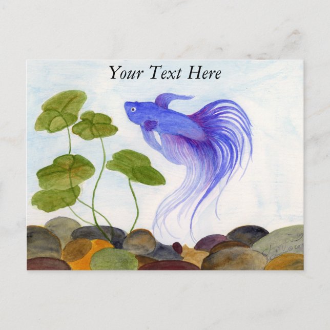 Postal Betta Fish (Anverso)