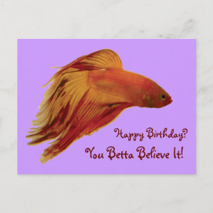 Postal Betta - Postcard de cumpleaños