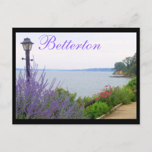 Postal Betterton, MD Summer Flowcard