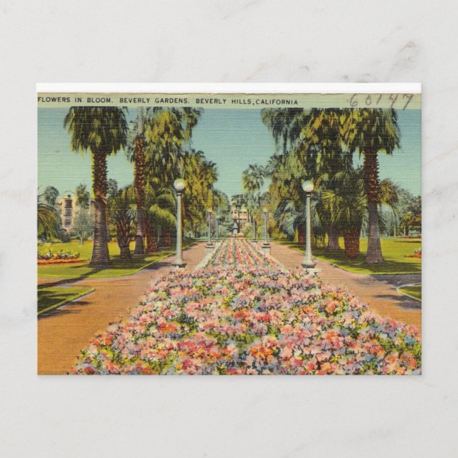 Postal Beverly Hills Flowers (Anverso)