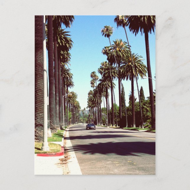 Postal Beverly Hills Postcard (Anverso)