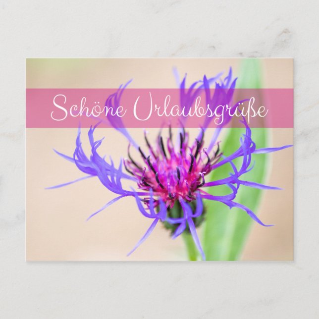 Postal Bezaubernde Urlaubsgrüße aus dem Briefkasten (Anverso)