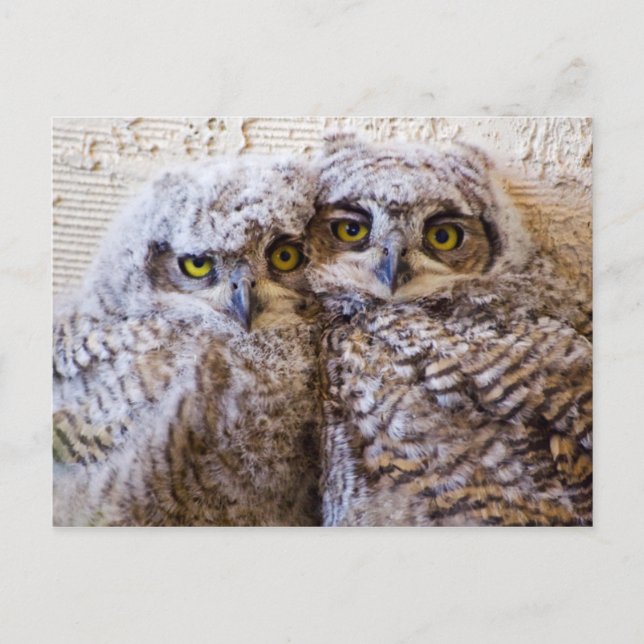 Postal BFF - Los mejores amigos para siempre (Anverso)