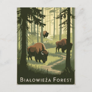 Postal Bialowieza Forest Poland vintage