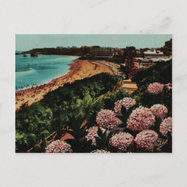 Postal Biarritz Hortensias Francia (Anverso)