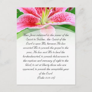 Postal Bible passage, pink lily