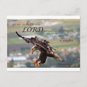 Postal Biblia de águila volante Verse.jpg