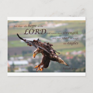 Postal Biblia de águila volante Verse.jpg
