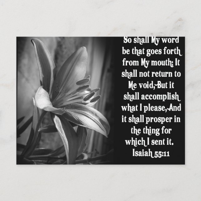 POSTAL BIBLIA SCRIPTURE ISAIAH 55:11 (Anverso)