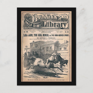 Postal Biblioteca Beadles Half Dime No. 1120 1901