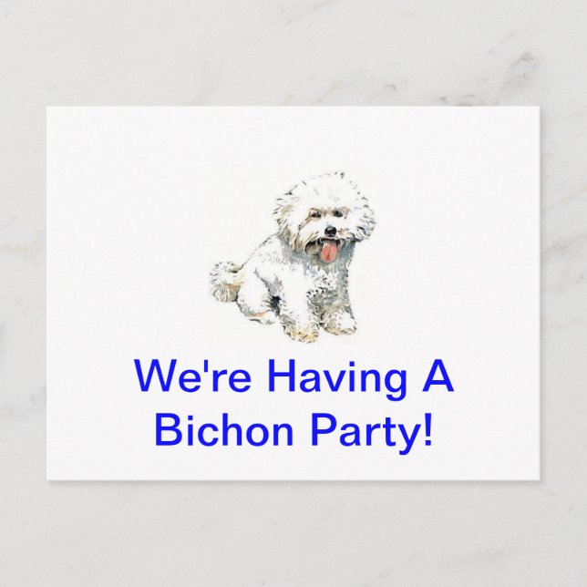 Postal Bichon Frise (Anverso)