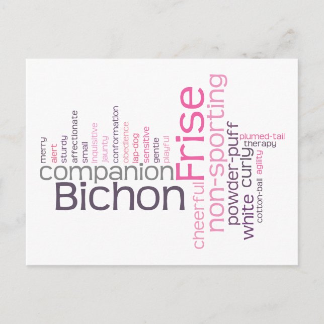 Postal Bichon Frise (Anverso)