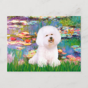 Postal Bichon Frise 1 - Lirios 2