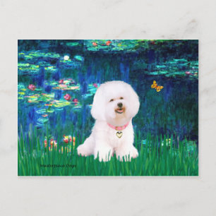 Postal Bichon Frise 1 - Lirios #5