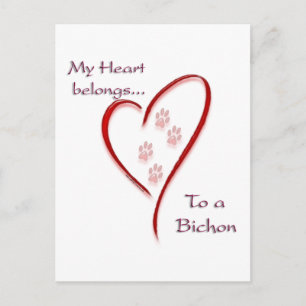 Postal Bichon Frise Heart Pertenece
