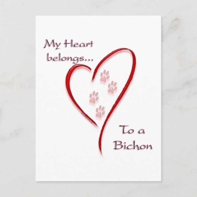Postal Bichon Frise Heart Pertenece (Anverso)