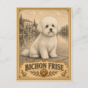 Postal Bichon Frise, perro vintage de herencia