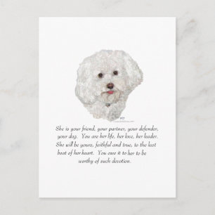 Postal Bichon Frise Recuerdo HEMBRA