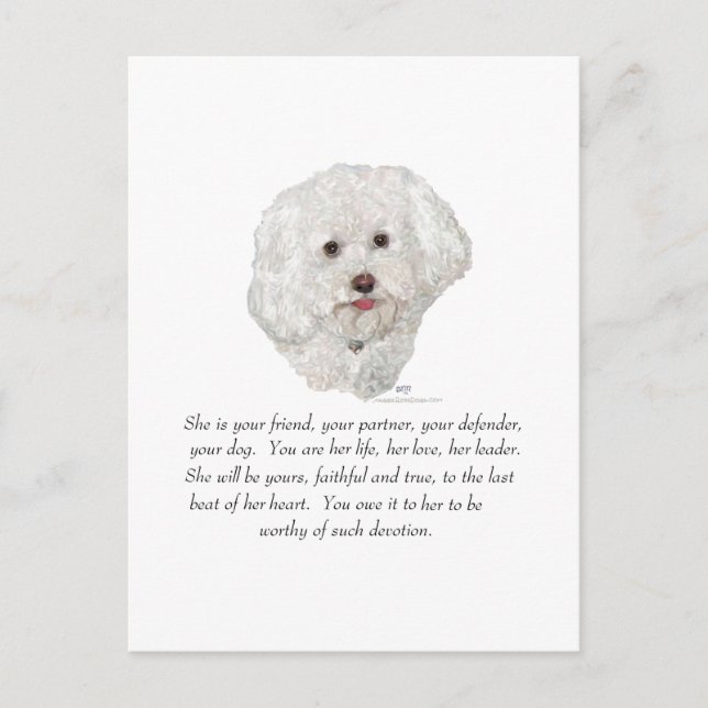 Postal Bichon Frise Recuerdo HEMBRA (Anverso)