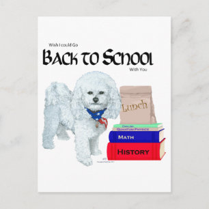 Postal Bichon Frise Regreso a Clases