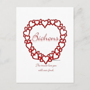 Postal Bichon Frise True Love