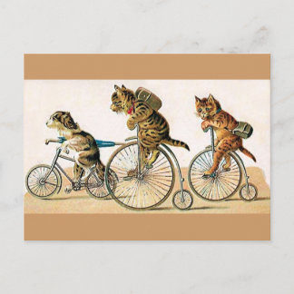 Postal Bicicleta