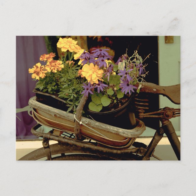 Postal Bicicleta antigua (Anverso)