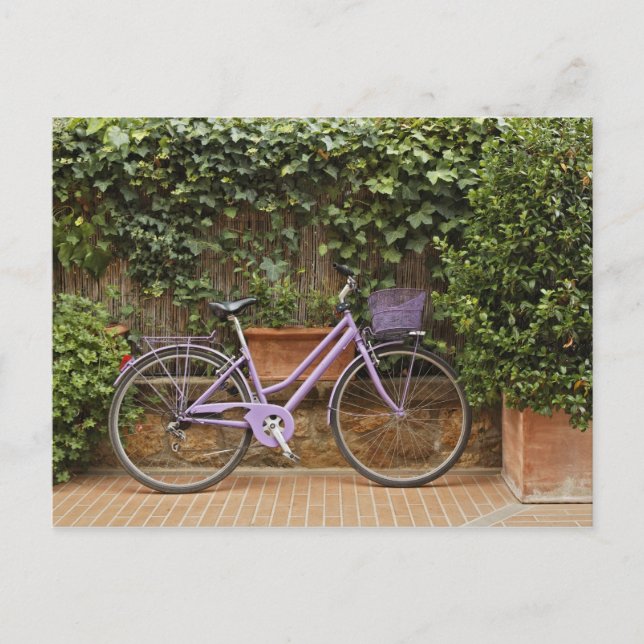 Postal Bicicleta aparcada, Pienza, Italia, Toscana (Anverso)