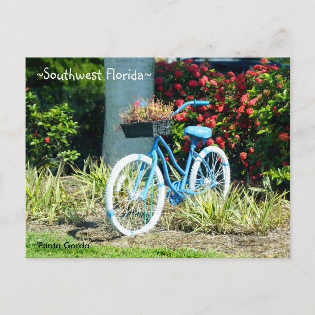 Postal Bicicleta azul en el suroeste de Florida Postcard (Anverso)
