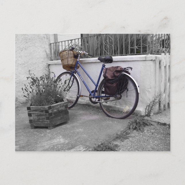 Postal Bicicleta con canasta - Isla de Molino (Anverso)