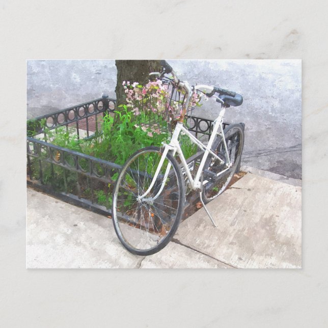 POSTAL BICICLETA CON CARTÓN DE FLORES (Anverso)